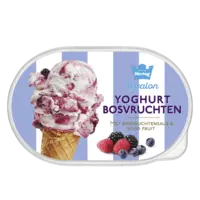 Hertog Ijssalon yoghurt bosvruchten