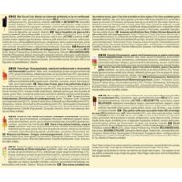 Een afbeelding van Ola Dream team