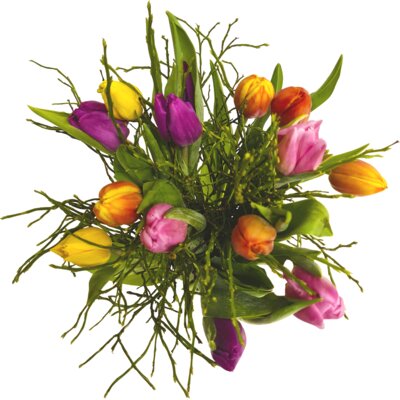 pdp-image-AH Mix tulpen