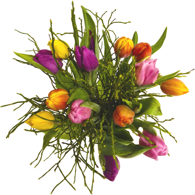 Een afbeelding van AH Mix tulpen