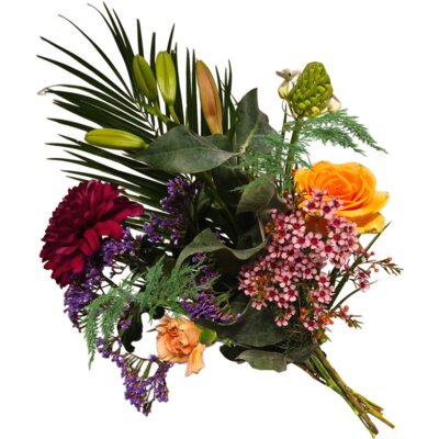 pdp-image-AH Wintermix L