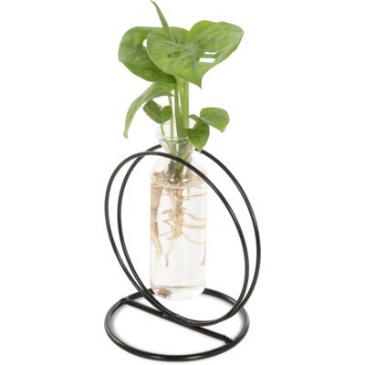 pdp-image-AH Groene plant in flesje