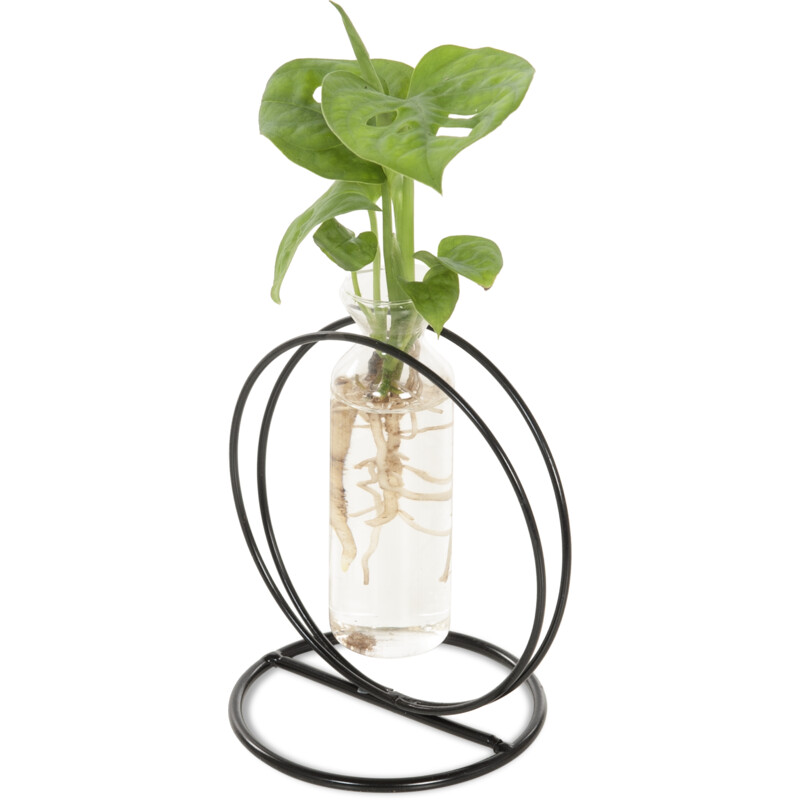 Een afbeelding van AH Groene plant in flesje