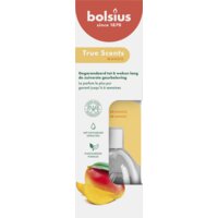 Bolsius True scents geurstokjes mango