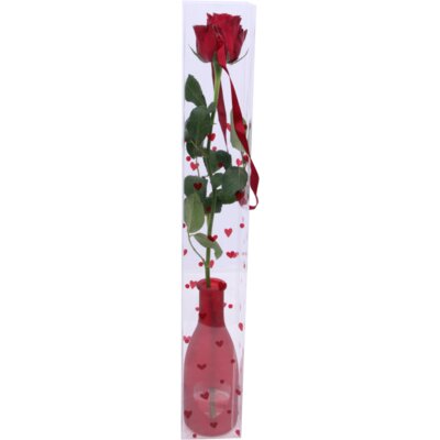 pdp-image-AH Valentijn rode roos in vaasje