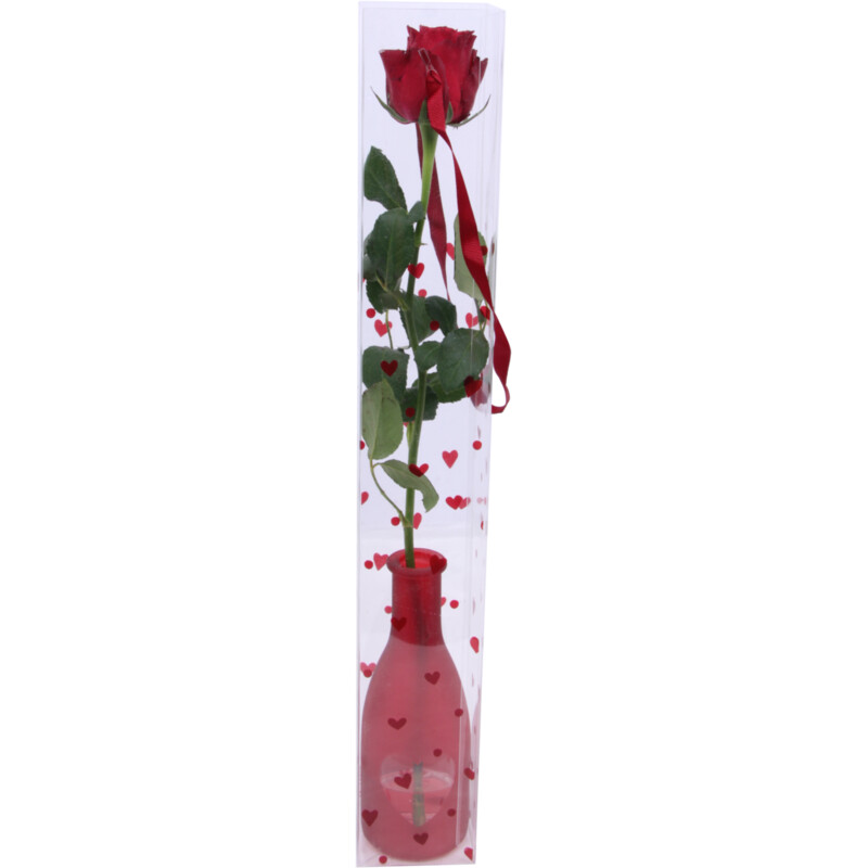 Een afbeelding van AH Valentijn rode roos in vaasje