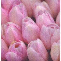 Een afbeelding van AH Servet tulpen roze 33x33cm
