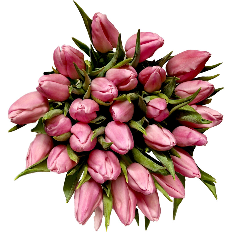Een afbeelding van AH Megabos tulpen