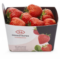 Een afbeelding van Hoogstraten Strawberries bel
