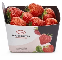 Hoogstraten Strawberries bel