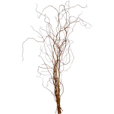 pdp-image-AH Paastakken