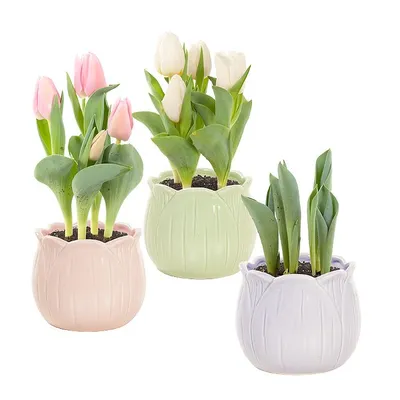 pdp-image-AH Tulp in tulpenpotje