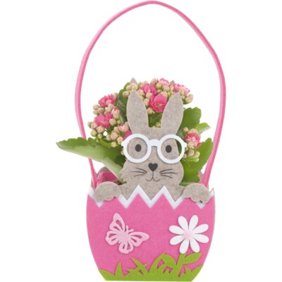 pdp-image-AH Kalanchoë in tasje