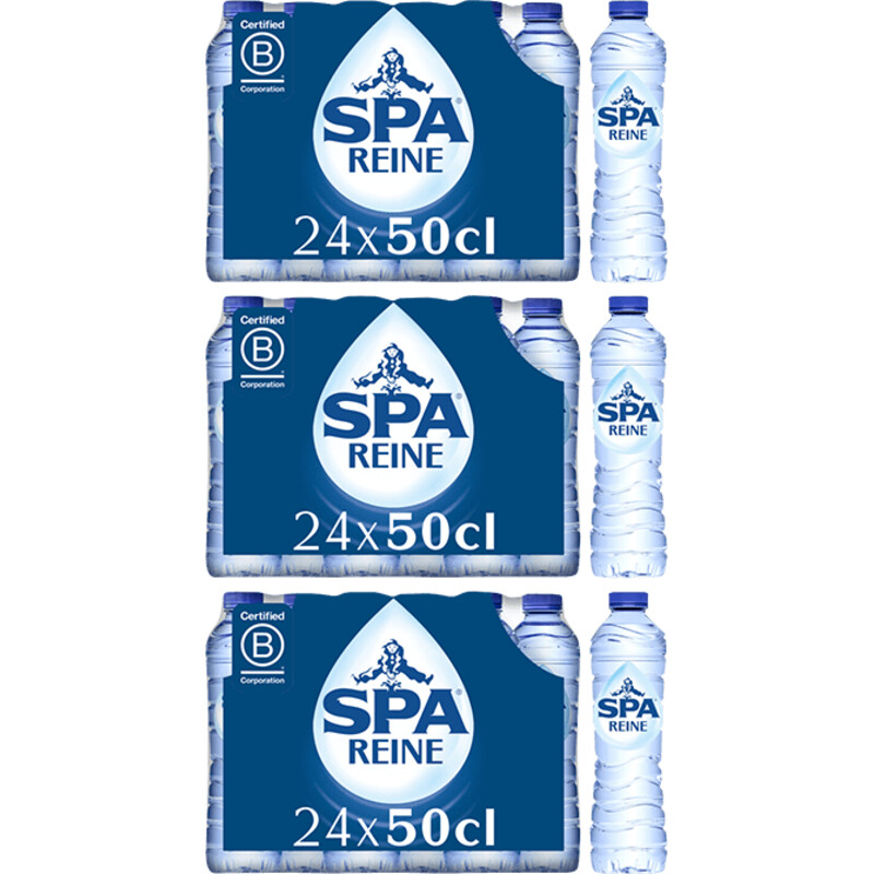 Een afbeelding van Spa Reine tray 24 x 50cl volume pakket