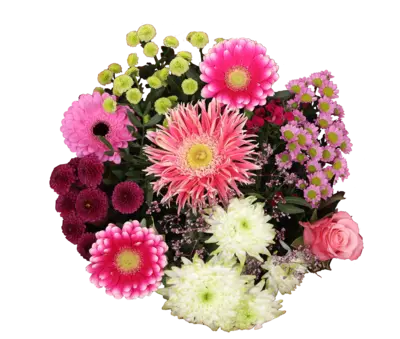 pdp-image-AH Boeket roze