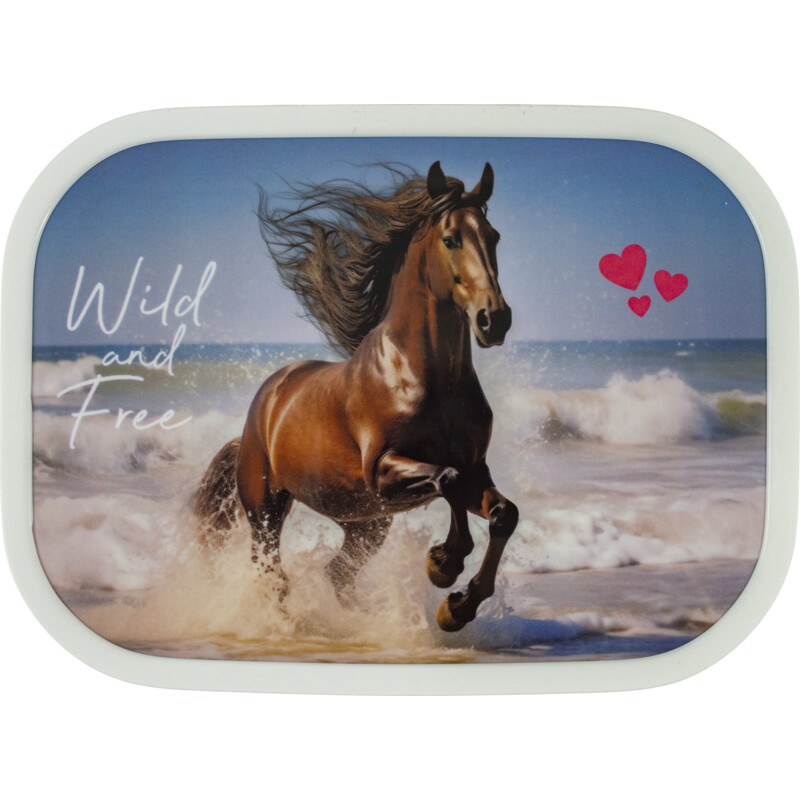 Een afbeelding van Mepal Lunchbox campus wild horse