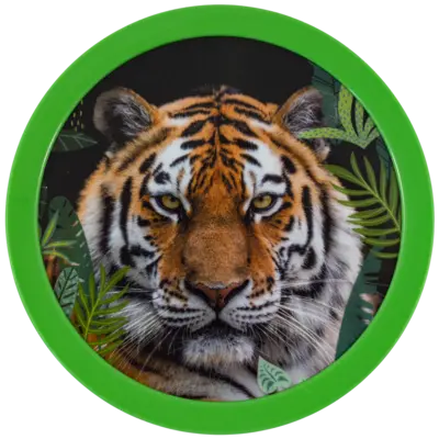 pdp-image-Mepal Fruitbox campus wild tiger 300ml