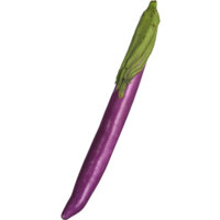 Afbeelding van Chinese aubergine