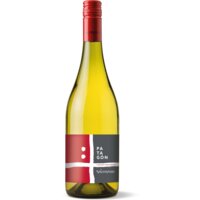 Afbeelding van Valdivieso Patagon Luscious White