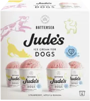 Jude's Ice cream for dogs