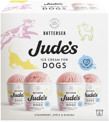 pdp-image-Jude's Ice cream for dogs