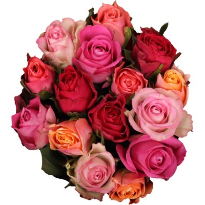 pdp-image-AH Rozen kleurenmix