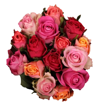 pdp-image-AH Rozen kleurenmix