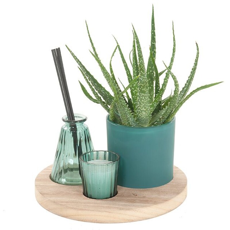 Een afbeelding van AH Orchidee arrangement geurstokjes