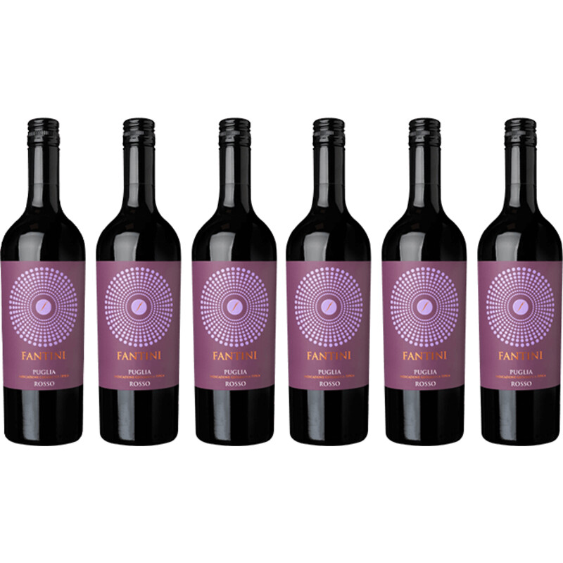 Een afbeelding van Fantini Puglia rosso 6 flessen