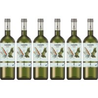 Een afbeelding van Castaño Macabeo organic 6 flessen