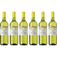 Een afbeelding van Terra viva Pinot grigio 6 flessen