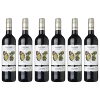 Castaño Monastrell organic 6 flessen