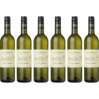 Een afbeelding van Lenz Moser Gruner veltliner 6 flessen