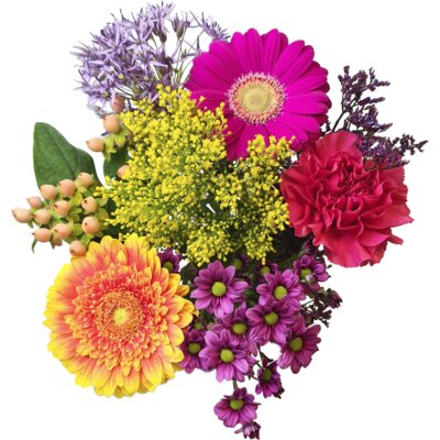 pdp-image-AH Lentemix medium