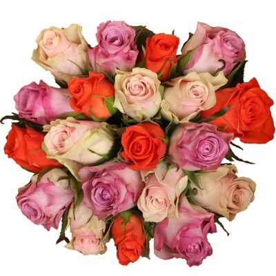 pdp-image-AH Mega rozenmix