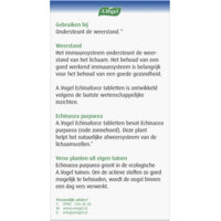Een afbeelding van A.Vogel Echinaforce tabletten weerstand1*