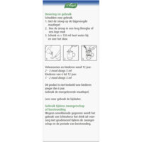 Een afbeelding van A.Vogel Echinaforce hot drink siroop