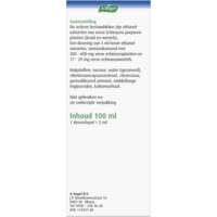 Een afbeelding van A.Vogel Echinaforce hot drink siroop