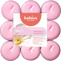 Een afbeelding van Bolsius True scents geurtheelichten magnolia