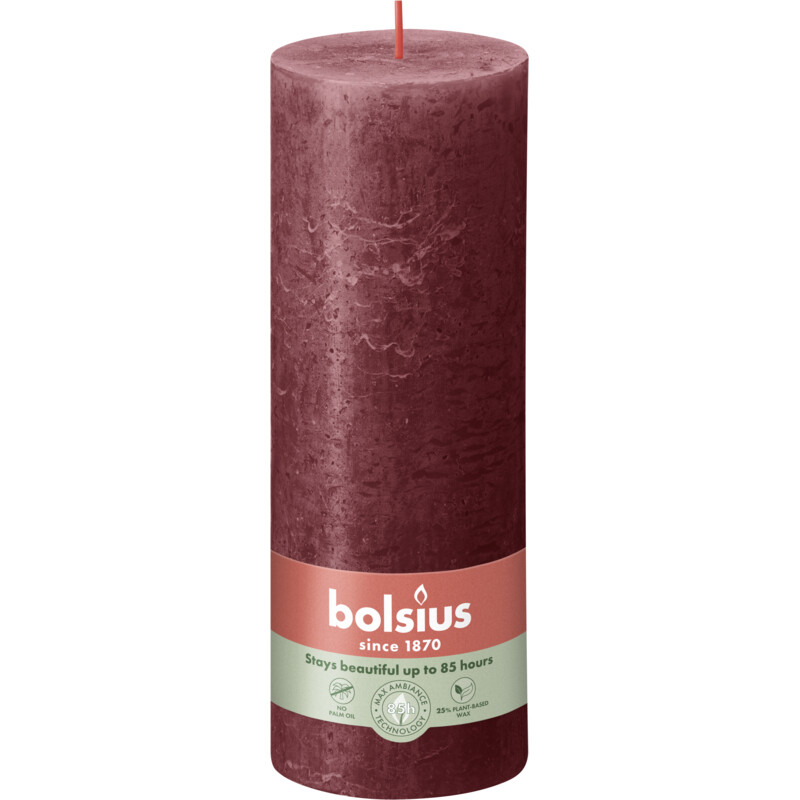 Een afbeelding van Bolsius Rustieke kaars bordeaux 19cm