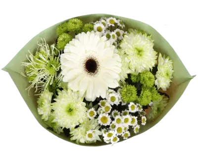 pdp-image-AH Chrysanten mix