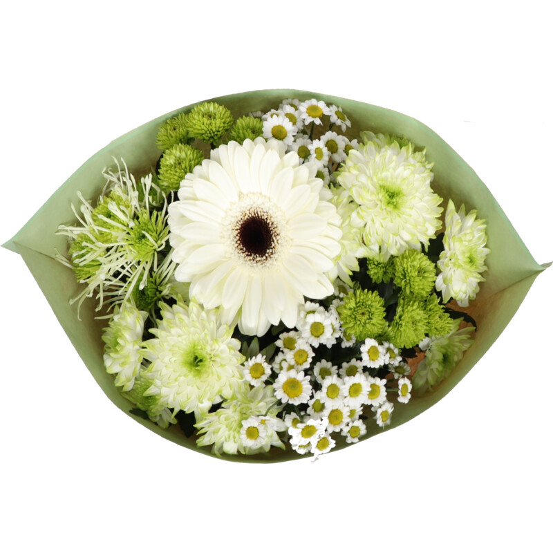 Een afbeelding van AH Chrysanten mix
