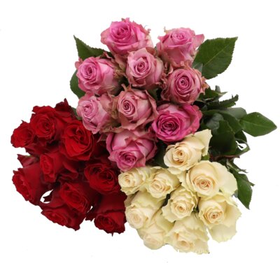 pdp-image-AH Roos Kort Koud