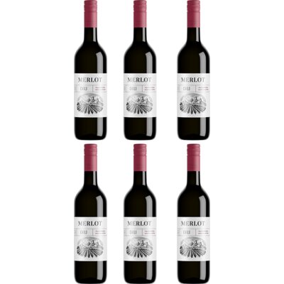pdp-image-AH Merlot 6 flessen