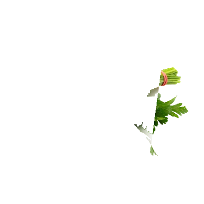 pdp-image-AH Platte peterselie grootverpakking
