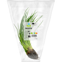 Afbeelding van Biologisch Bieslook plantje