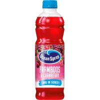 Ocean Spray Framboos & cranberry