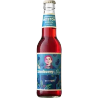 Wostok Bosbessen-salie