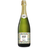Een afbeelding van Marques monte Meru Sparkling brut bel