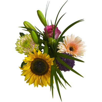 pdp-image-AH Zomermix large